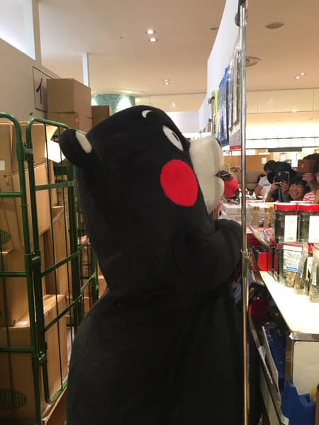 SASERUプロジェクト 023.JPG